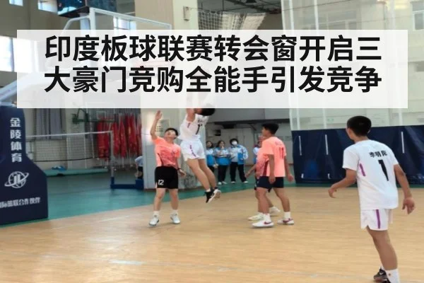 印度板球联赛转会窗开启三大豪门竞购全能手引发竞争